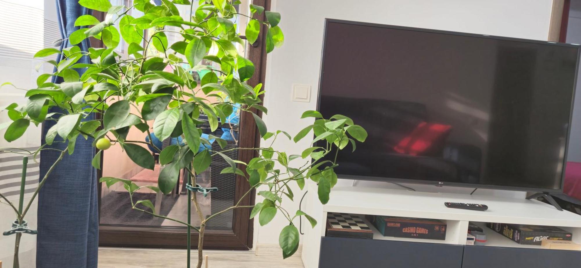 Littlebig Apartment บูคาเรสต์ ภายนอก รูปภาพ